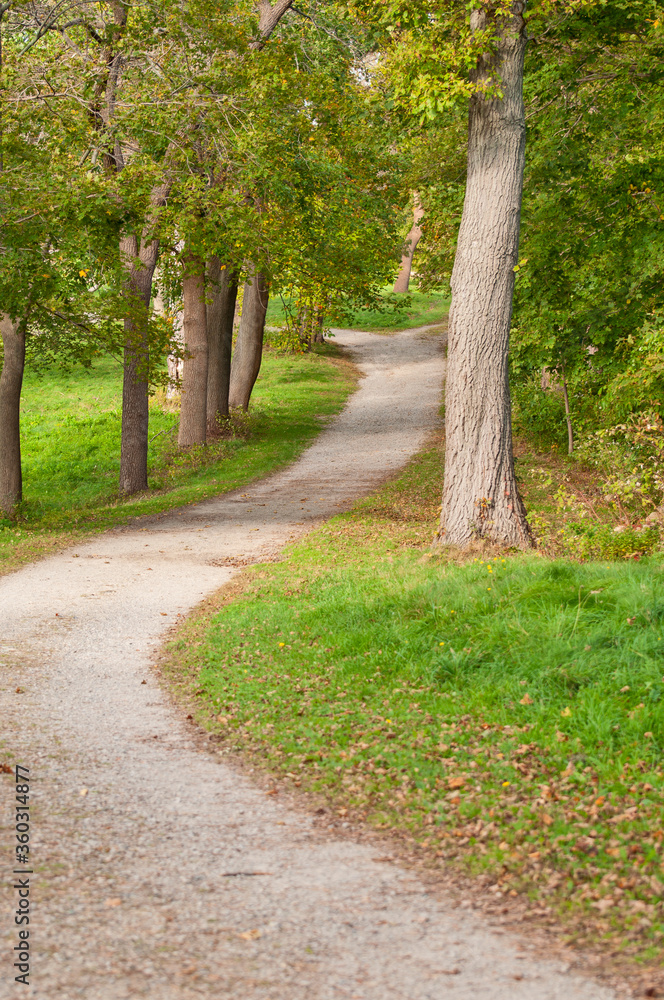 Obraz premium Curvy Pathway