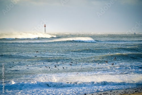 lighthouse in the sea during windstorm with seagulls. blue sky a