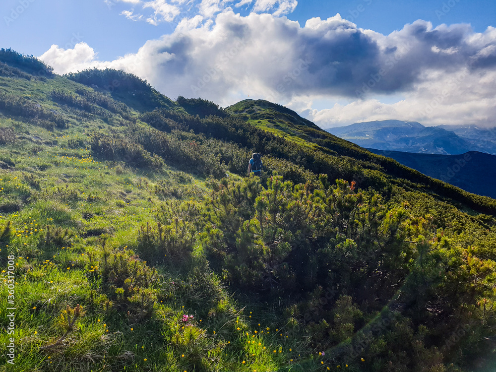 Romania, Piule Iorgovanu Mountains, mountain landscape with blue sky, sunshine 