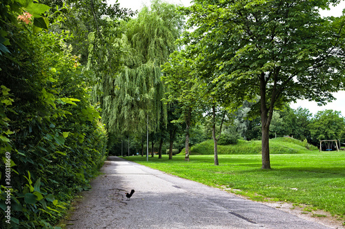 alley in the park © Ilia K
