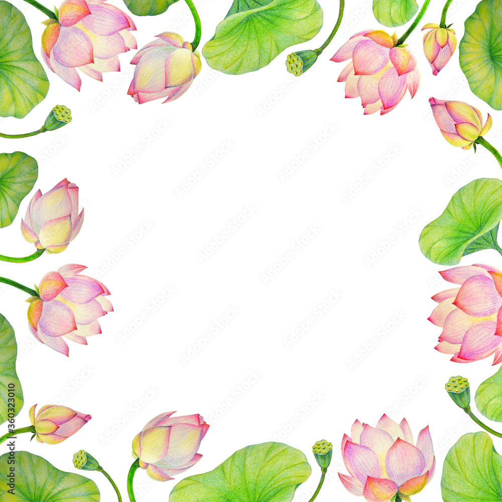 Square frame with pink lotus flowers on white background drawn by hand with colored pencils. Place for text. Can be used as postcard Square frame with pink lotus flowers on white background drawn by hand with colored pencils. Place for text. Can be used as postcard