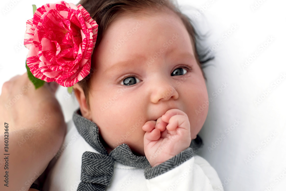 Infant girl in white suit thinking chewing her hand, while mother is holding big red and white rose like baby is wearing flower in her hair. Portrait of thoughtful child