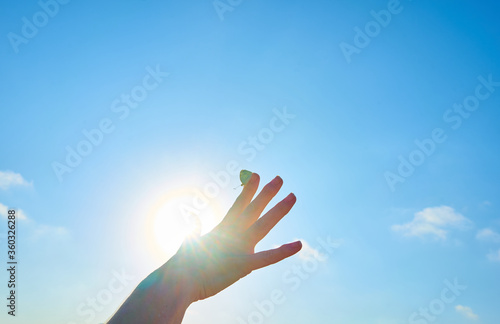 Woman's hand with a yellow butterfly, on a background of blue sky and the sun. Freedom, ok, happiness concept