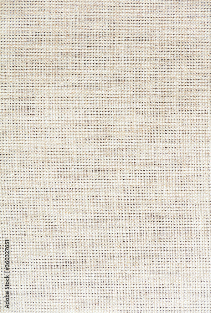 Blank Painting Canvas. Top view. Blank Painting Canvas. Top view.