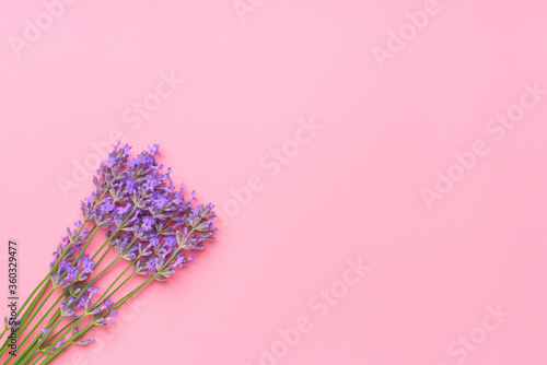 bouquet of lavender flowers arranged on pink  table . Top view  with copy space.