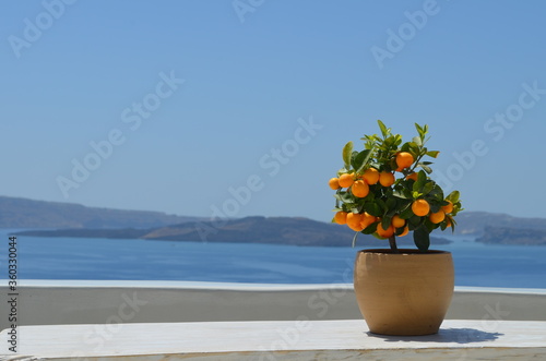 vase with flowers