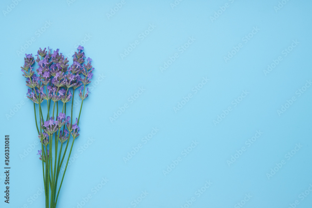 Naklejka premium bouquet of lavender flowers arranged on blue table . Top view, with copy space.