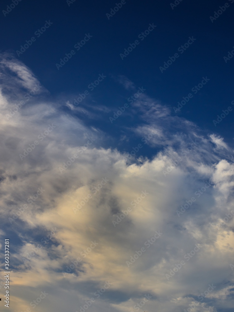 portrait image of a white cloud, shaded with yellow and gray, blown by the winds under a blue sky.