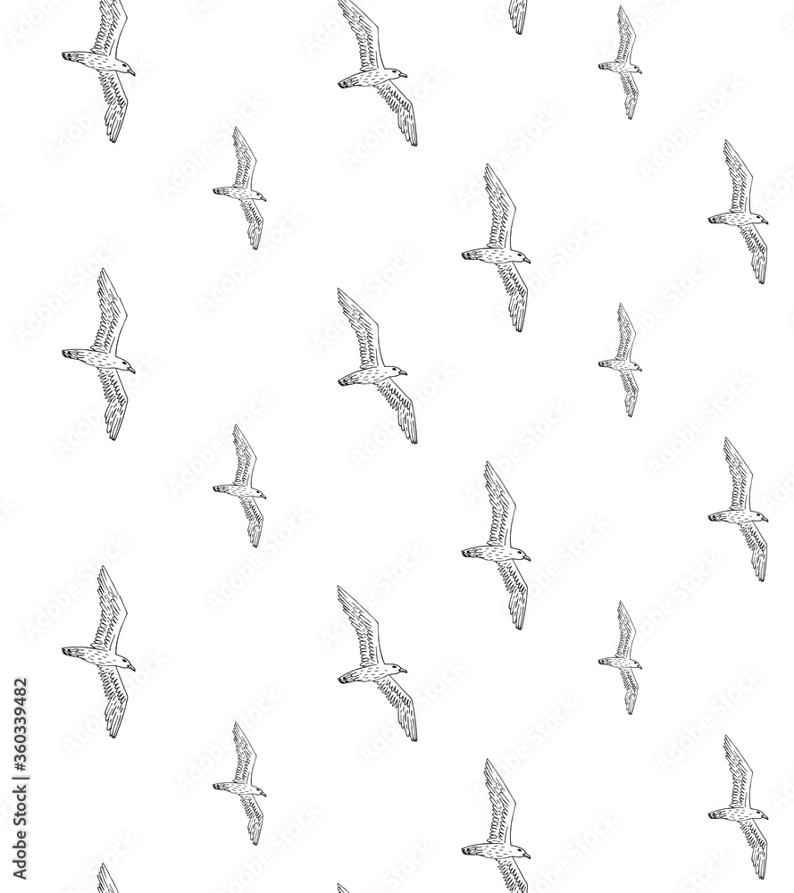 Vector seamless pattern of hand drawn doodle sketch seagull birds flock isolated on white background Vector seamless pattern of hand drawn doodle sketch seagull birds flock isolated on white background
