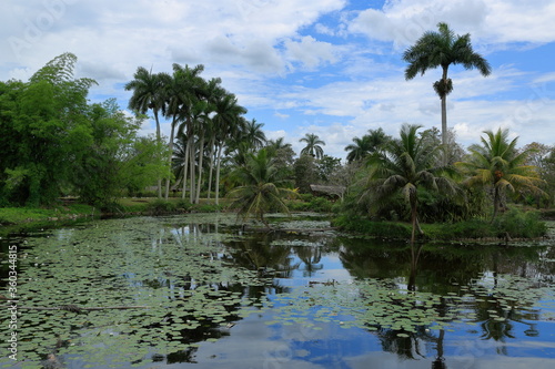 Playa Larga, Bay of Pigs, Matanzas region. There are crocodile farms around. Cuba.