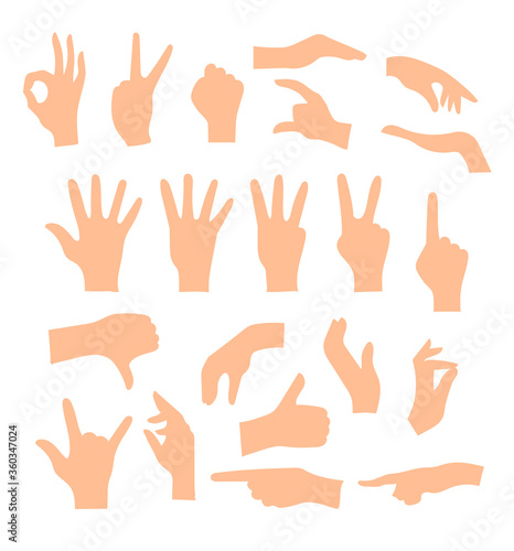 Set of hands showing different gestures isolated on a white background. Vector flat illustration of female and male hands . Isolated flat vector illustration