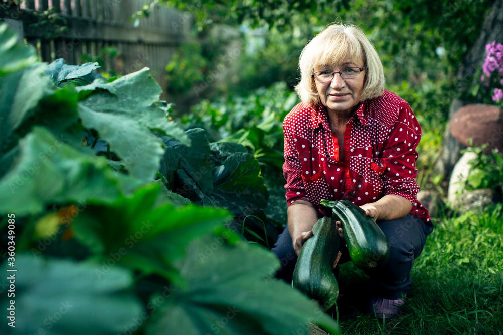 Woman holding a zucchini sitting in her garden. Woman holding a zucchini sitting in her garden.