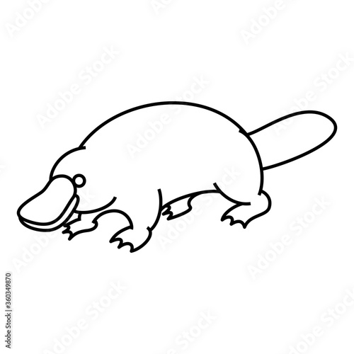 カモノハシ