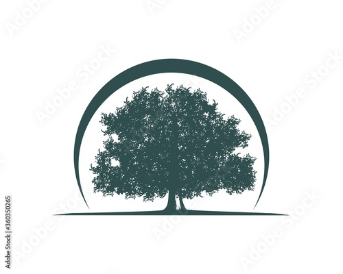 Oak natural resource 