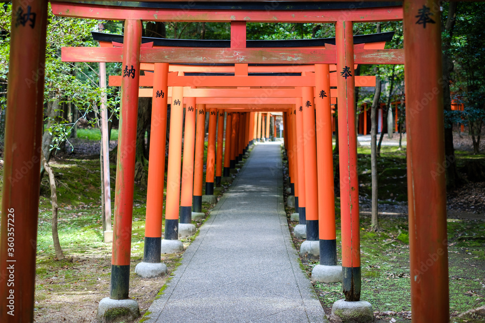 写真素材: 橿原神宮　長山稲荷社