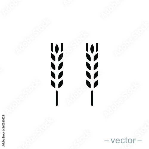 Vector farm wheat ears icon template. Line whole grain symbol illustration for organic eco business, agriculture, beer, bakery. Gluten free logo background