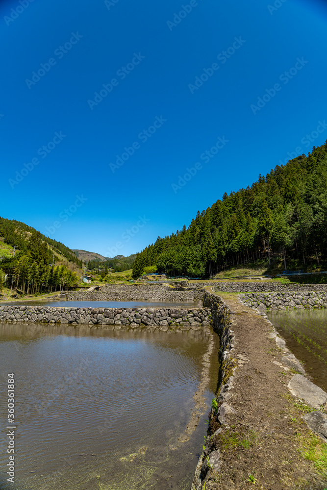 長野県根羽村　横旗の石積み棚田