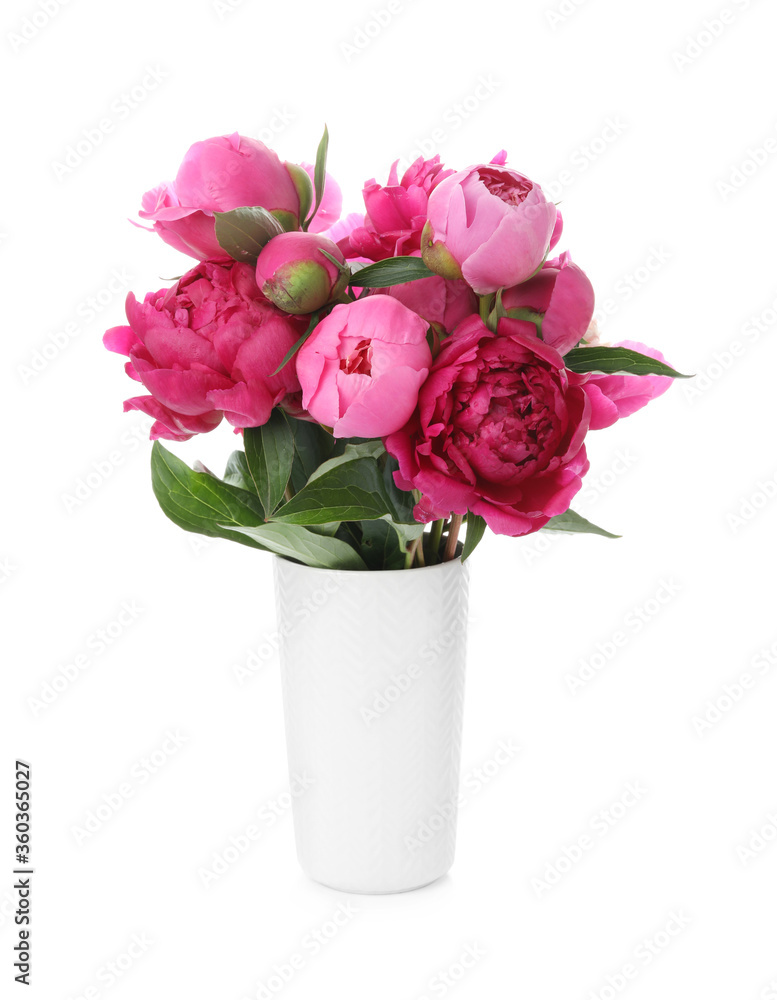 Beautiful peonies in vase isolated on white