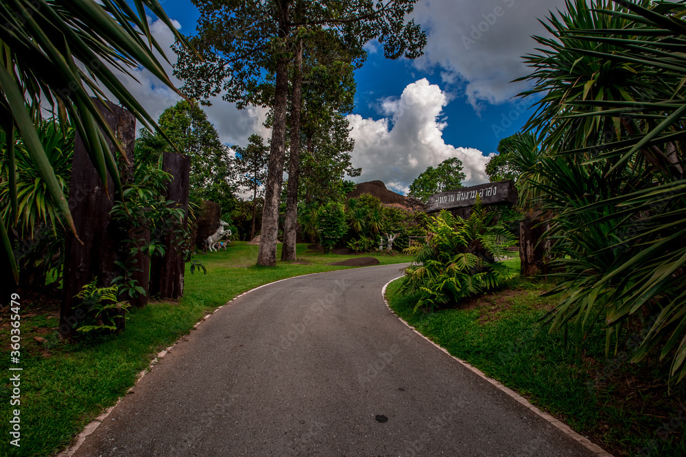 Obraz premium Natural background in the park with many kinds of plants, large stones, allow tourists to stop and take photos while traveling, the beauty of the ecosystem