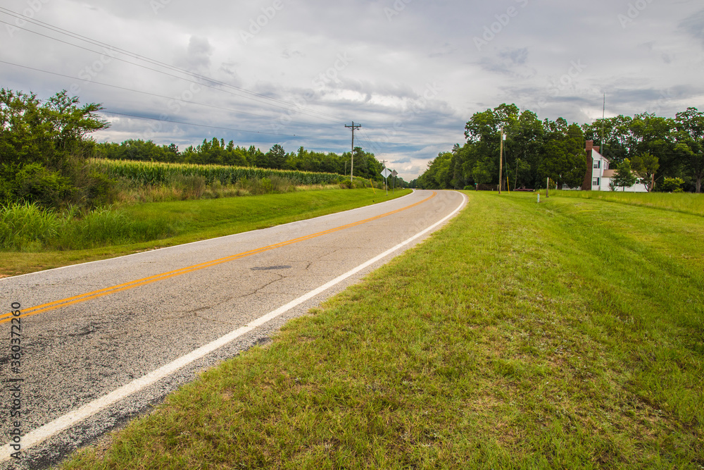 Fototapeta premium country road in the countryside