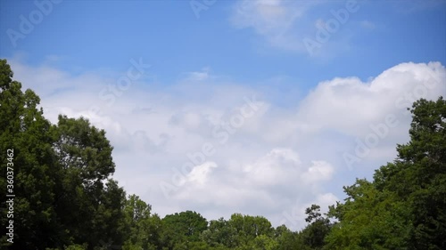夏空と流れる雲の動画	