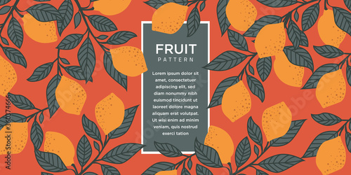 Fruit Illustration Background