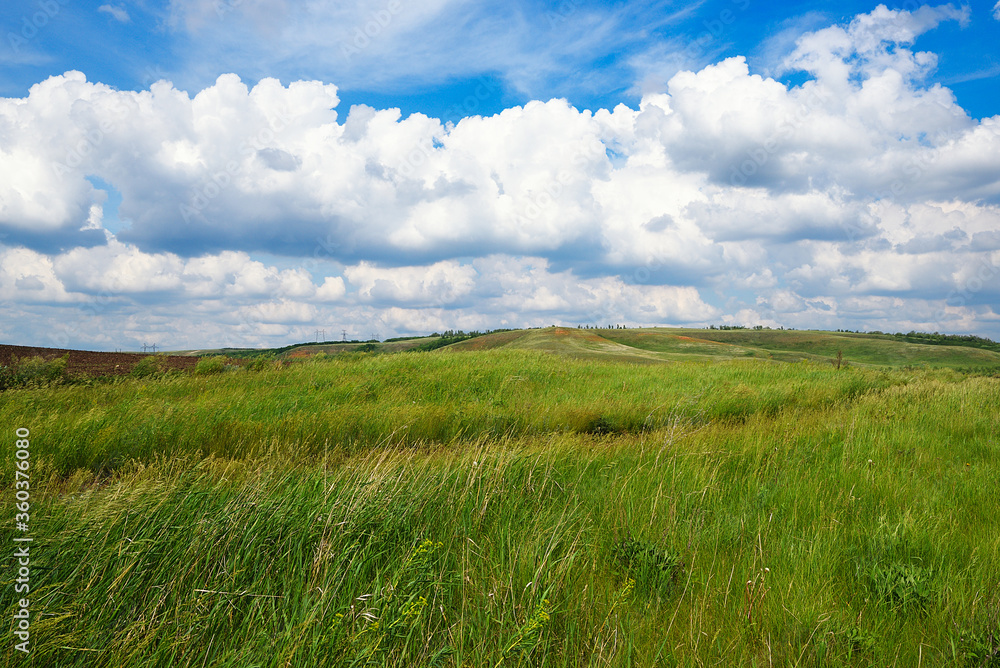 Summer natural landscape, meadow, field, hills. Beautiful blue sky with clouds.