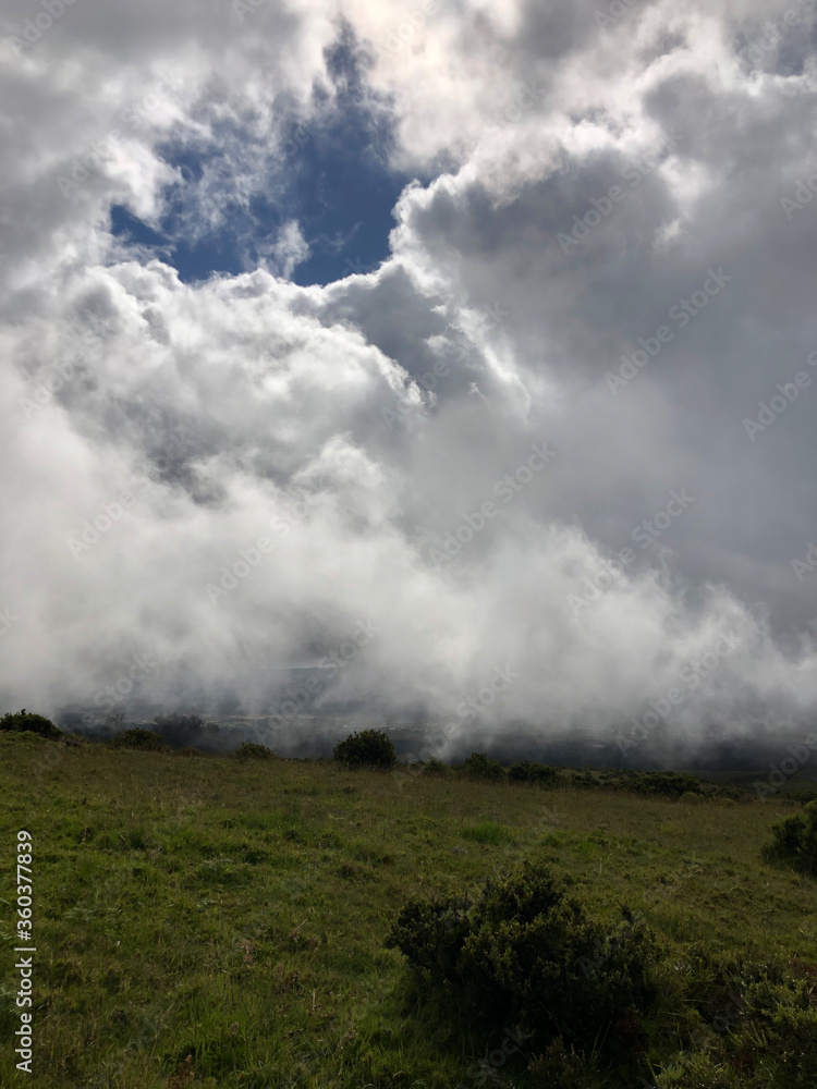 Mystical clouds on the slopes of Haleakala