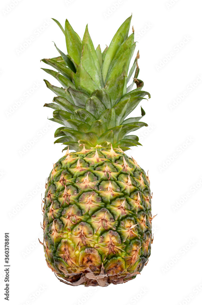 Exotic fruits and tropical diet concept with photograph of whole real pineapple fruit isolated on white background with clipping path cutout Exotic fruits and tropical diet concept with photograph of whole real pineapple fruit isolated on white background with clipping path cutout