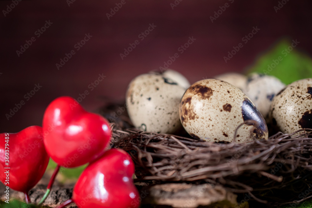 quail eggs in a nest on a wooden background close up