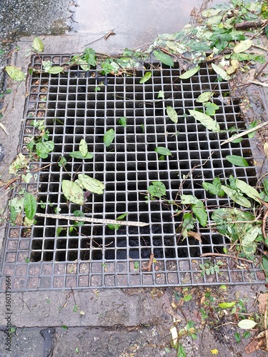 Steel grid rust cover in drain on road