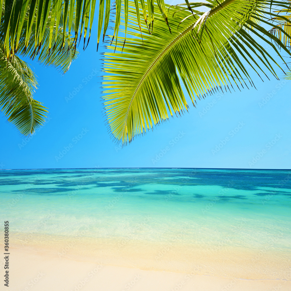 Beatiful tropical sandy beach Anse Source d'Argent in La Digue Island, Indian ocean, Seychelles. Sea view with sunny sky and coconut palm leaves.