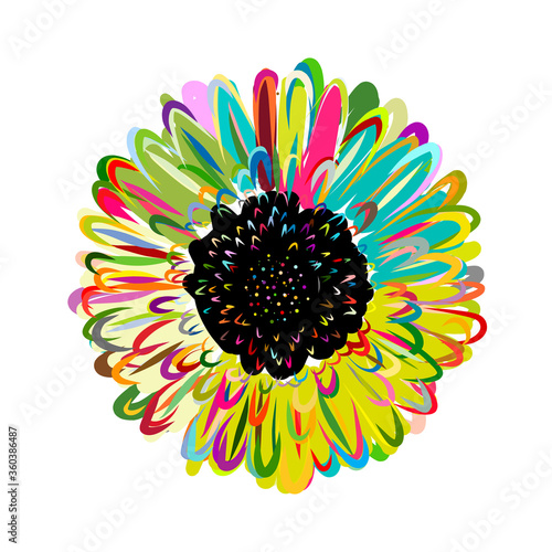 Multicolored daisy, chamomile flower isolated. Sketch for your design
