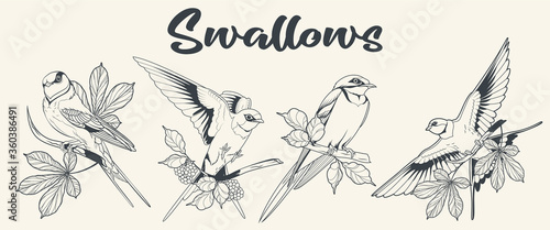 Swallow Birds Drawing Set, Chestnut Leaves, Berries Tattoo Design Style 