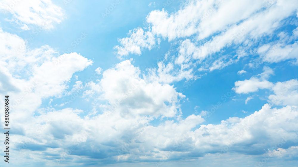 Fototapeta premium 青空・雲