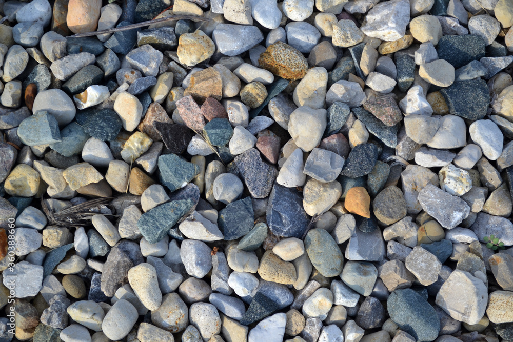 Bundle of Colorful Rocks Bundle of Colorful Rocks