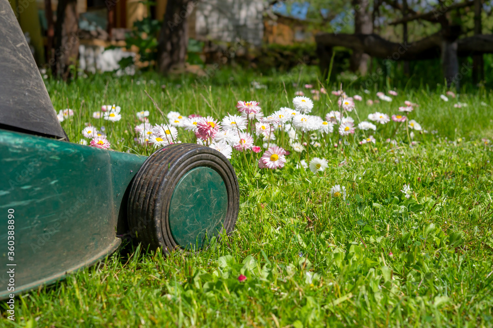 Fototapeta premium Yard maintenance concept with lawn mower