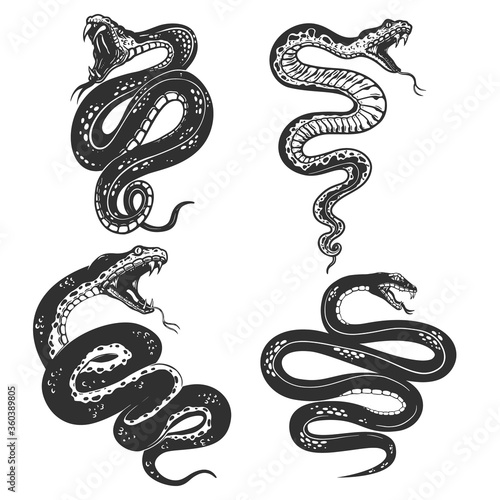 Set of illustrations of poisonous snake in engraving style. Design element for logo, label, sign, poster, t shirt. Vector illustration