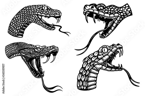 Set of illustrations of heads of poisonous snake in engraving style. Design element for logo, label, sign, poster, t shirt. Vector illustration