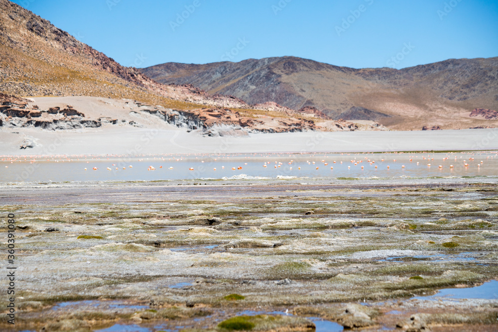 A lagoon in Volcano Cerro Galán. Natural landscape of the Puna highland. Tucuman province, Argentina. November, 2019