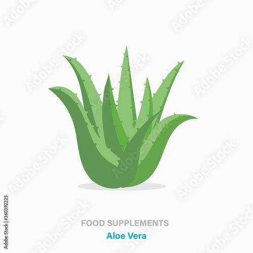 Vector flat isolated icon of food supplements - Aloe Vera plant
