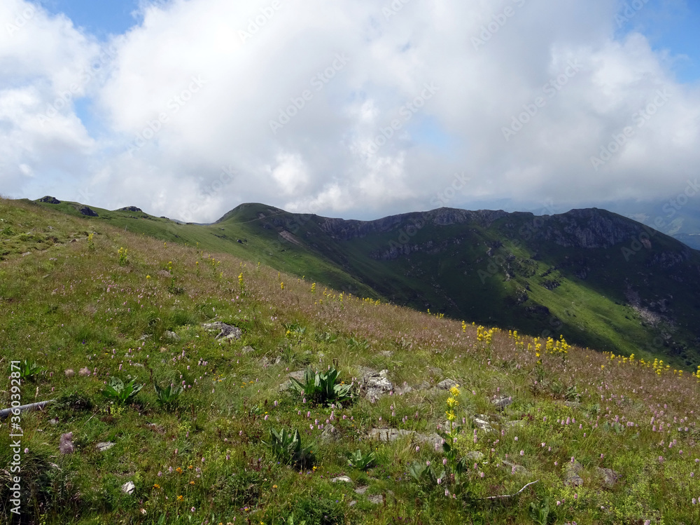 Fototapeta premium Auvergne