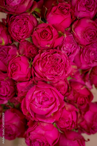 Close up shot of Classic Sensation roses variety bouquet, studio shot. © Fotos 593