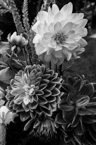 black and white of flowers, texture and detail