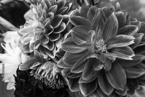 black and white of petals in detail, dark tones