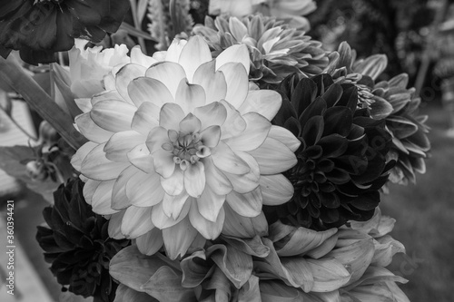 Fototapeta Naklejka Na Ścianę i Meble -  black and white of flowers