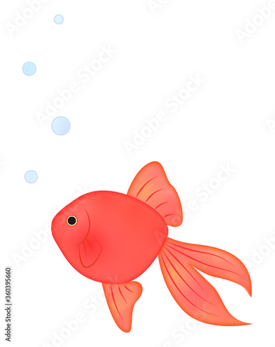 Illustration of goldfish in watercolor style
