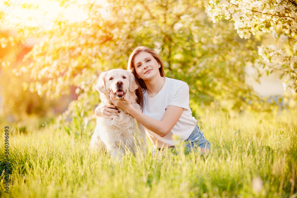 Young woman hugs dog Labrador Retriever outdoors in park, sunny day. Animals best friends concept Young woman hugs dog Labrador Retriever outdoors in park, sunny day. Animals best friends concept