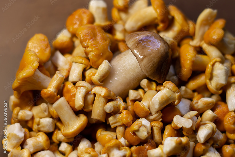 washed yellow edible chanterelle mushrooms
washed yellow edible chanterelle mushrooms