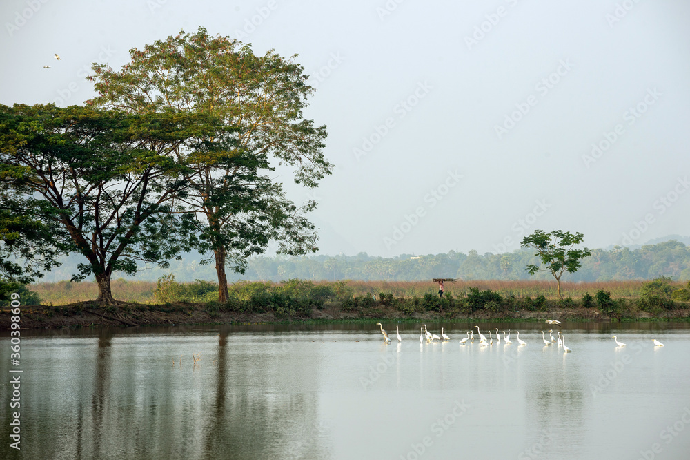 Trees and mountains reflect the water in the rural atmosphere of Asia. There are flocks of egret bird in the water and villagers, picturesque countryside view that looks comfortable and relaxing. Trees and mountains reflect the water in the rural atmosphere of Asia. There are flocks of egret bird in the water and villagers, picturesque countryside view that looks comfortable and relaxing.